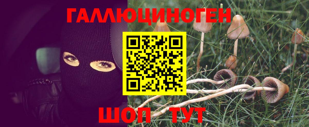 Кисловодск  что такое наркотик  Вход с VPN  Галлюциногенные грибы GOLDEN TEACHER  Галлюциногенные грибы мухоморы 