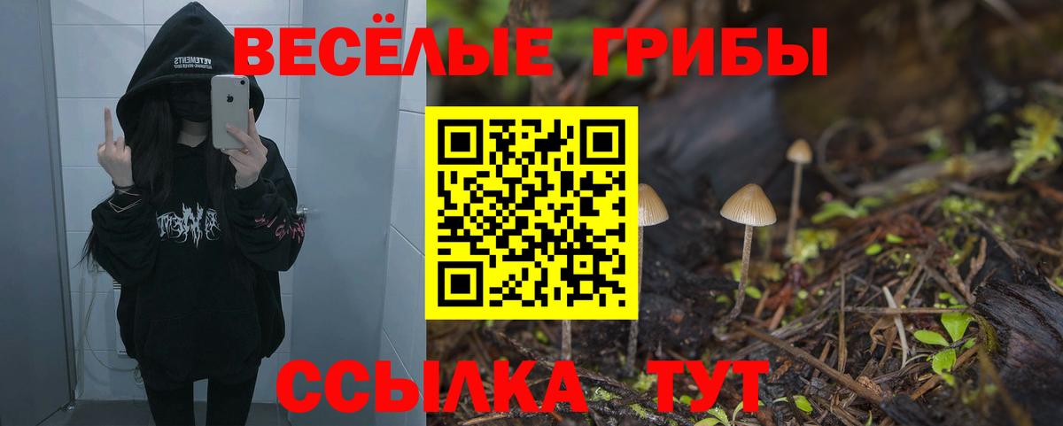 Галлюциногенные грибы ЛСД Кисловодск